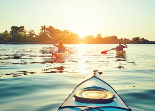 Hutovo Blato Birdwatching Safari – Paddle Through Europe’s Avian Oasis