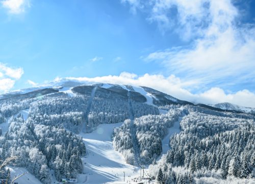 Olympic Mountains Snowshoeing – Walk Across a Winter Wonderland