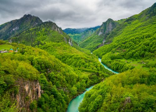 Tara Canyon Horseback Riding – Explore the Wilds from the Saddle